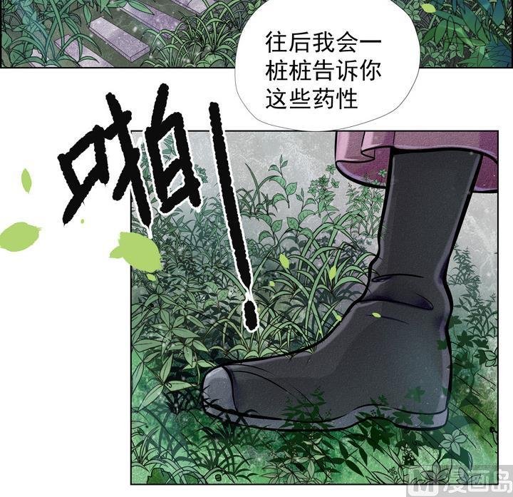 第8话 紫茎草
