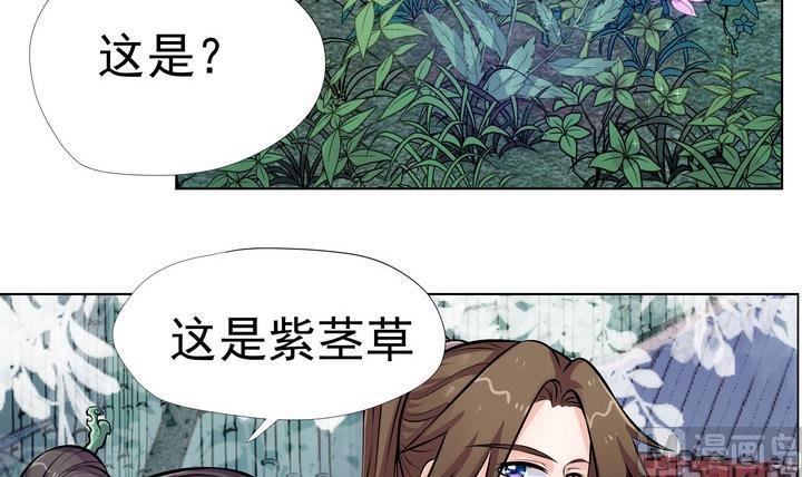 第8话 紫茎草