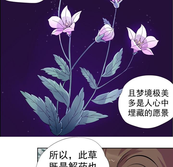 第8话 紫茎草