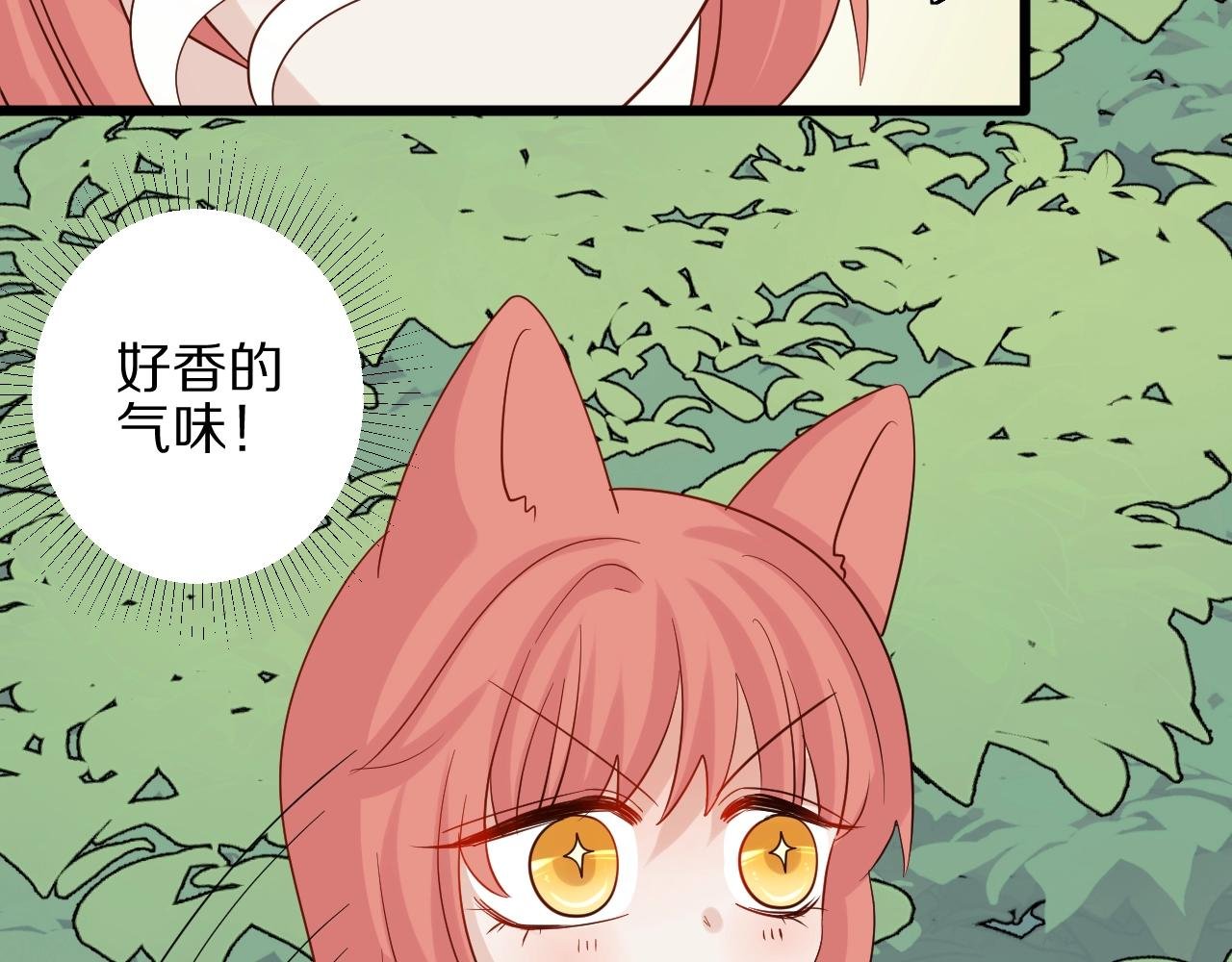 番外 女皇和总裁的原始部落篇