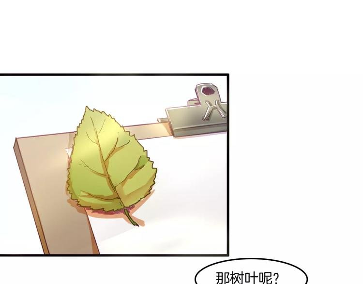 第37话 愿望