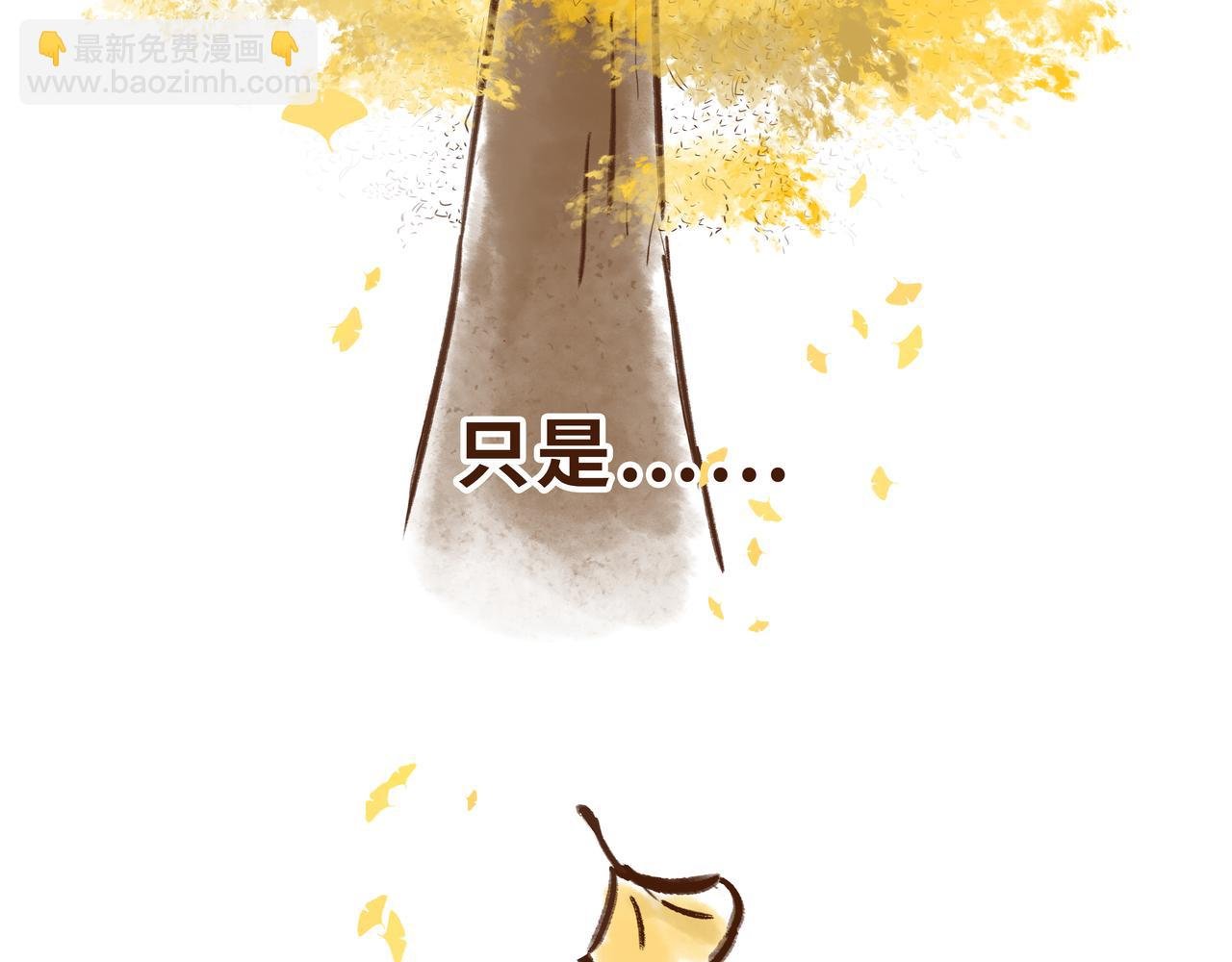 火遍外网的千年银杏树的故事