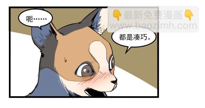 她就要变成狗了