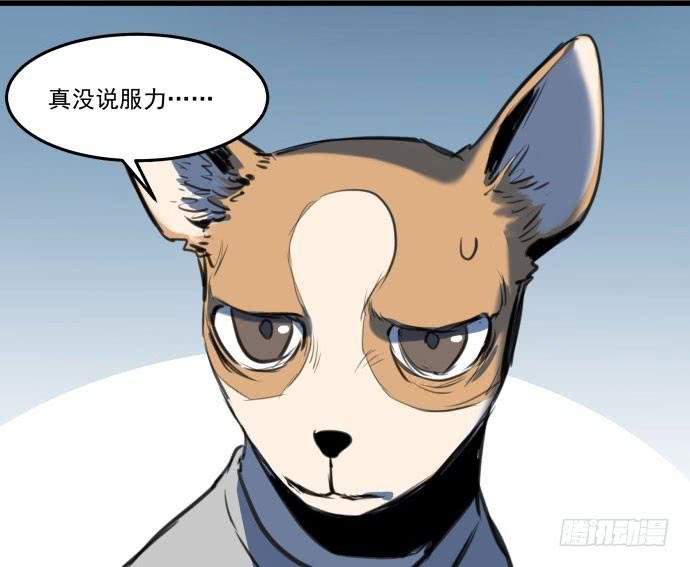她就要变成狗了