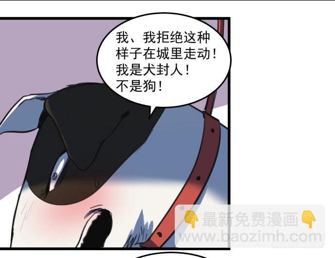 文明养犬 遛狗牵绳