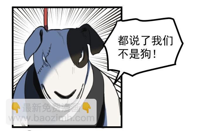 文明养犬 遛狗牵绳