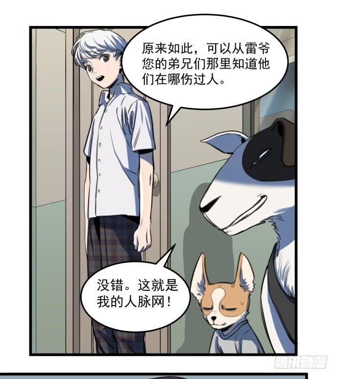 文明养犬 遛狗牵绳