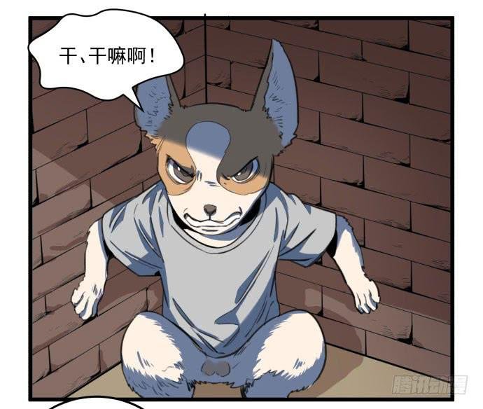 犬化病雷达