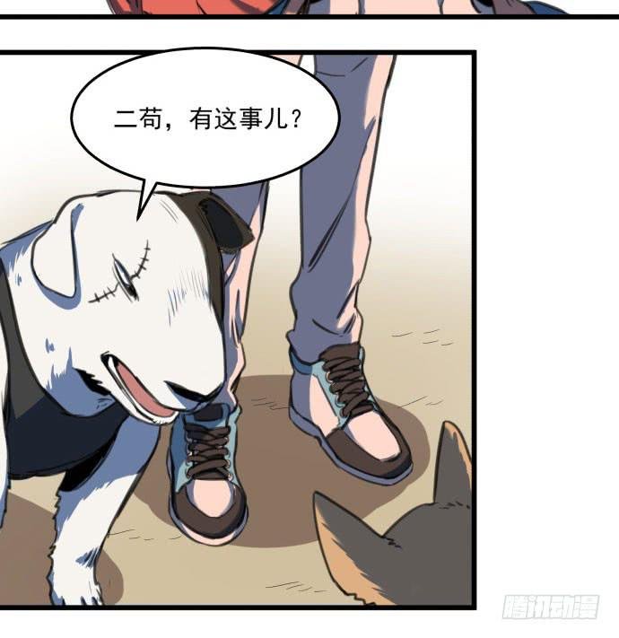 犬化病雷达