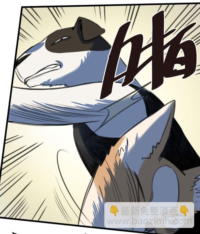 犬化病雷达