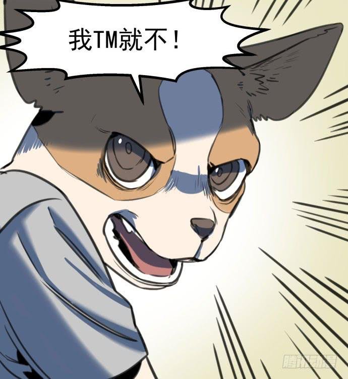 犬化病雷达