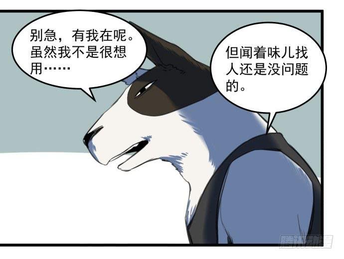 犬化病雷达