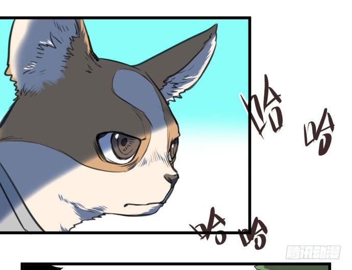 犬化病雷达