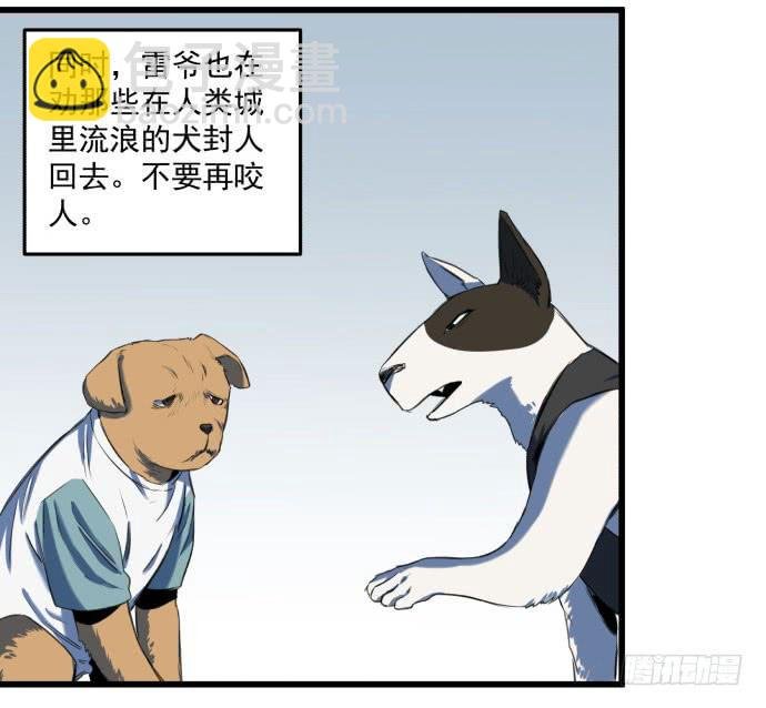 被狗咬了