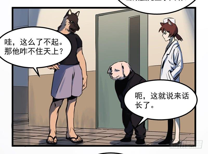 偷窥帅哥洗澡的狗子少女们