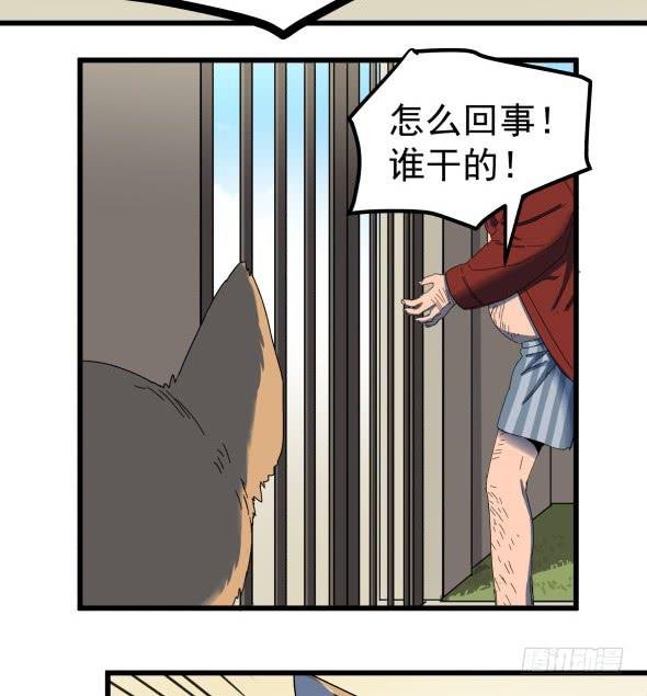 以后我罩着你
