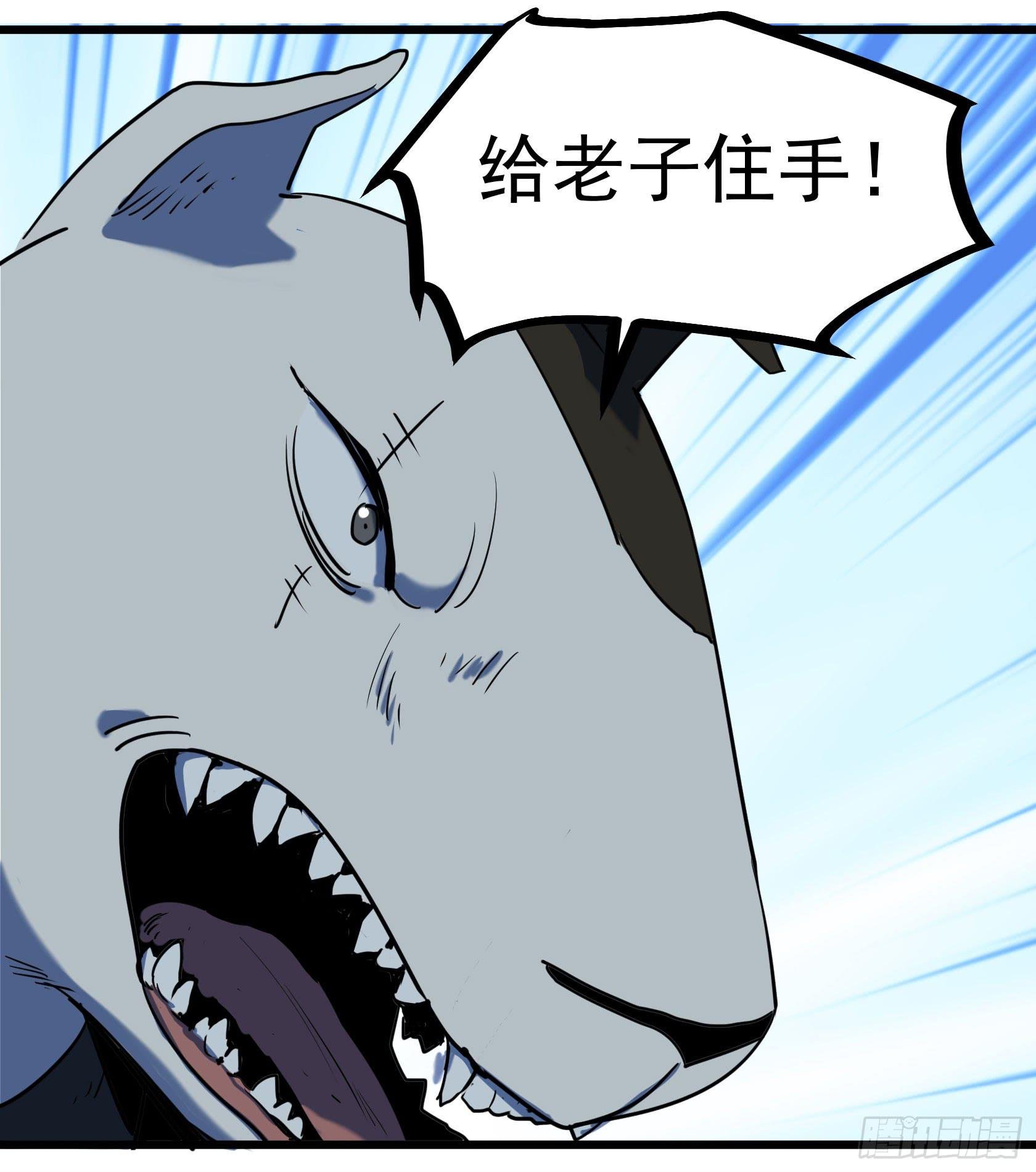阴谋显现？！