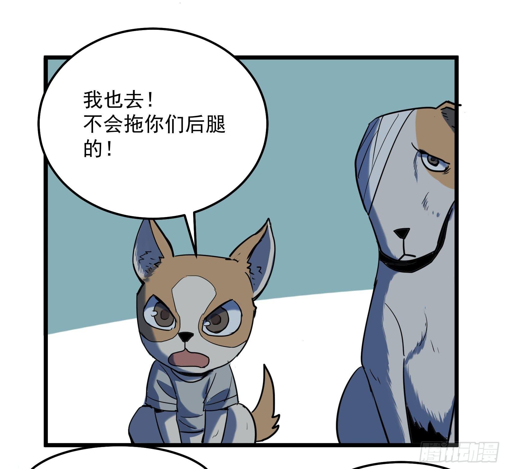 阴谋显现？！