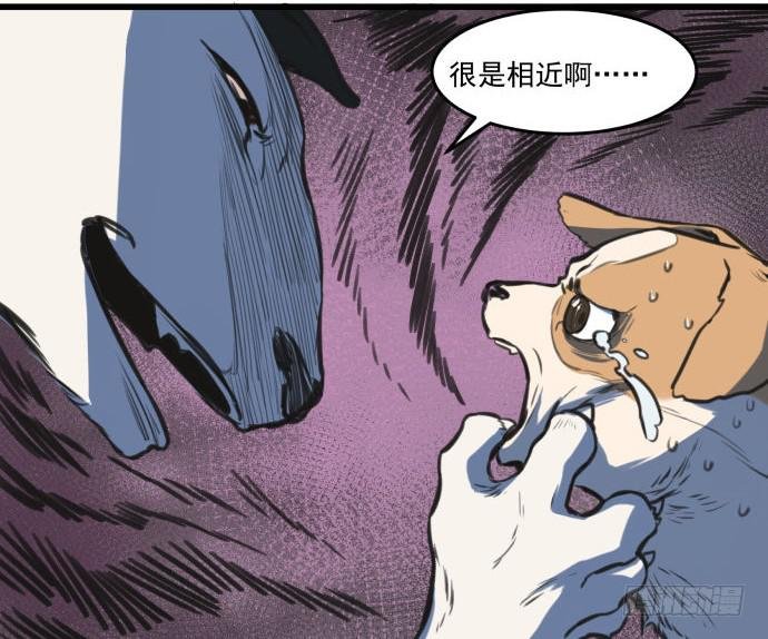 犬化病的少女