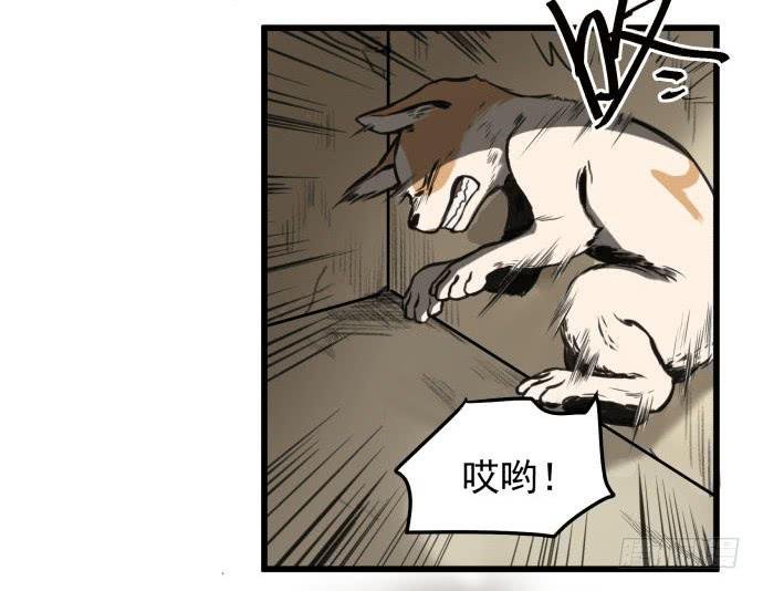 犬化病的少女