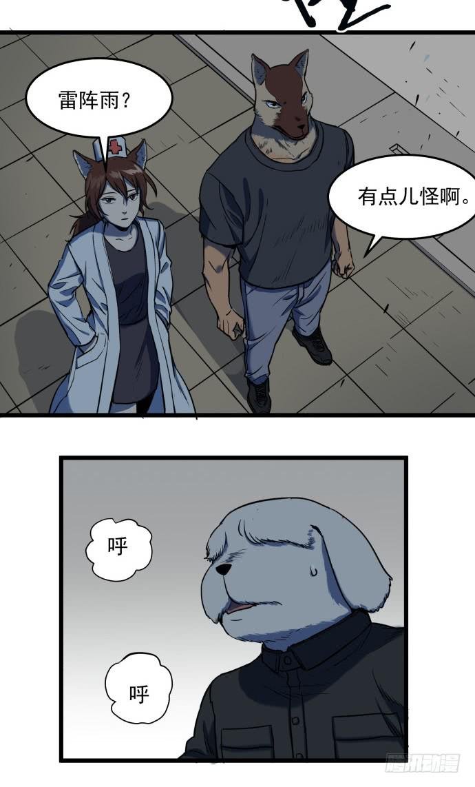 从今天起你就是帮主了