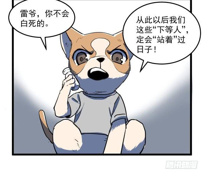回到犬封镇之后……