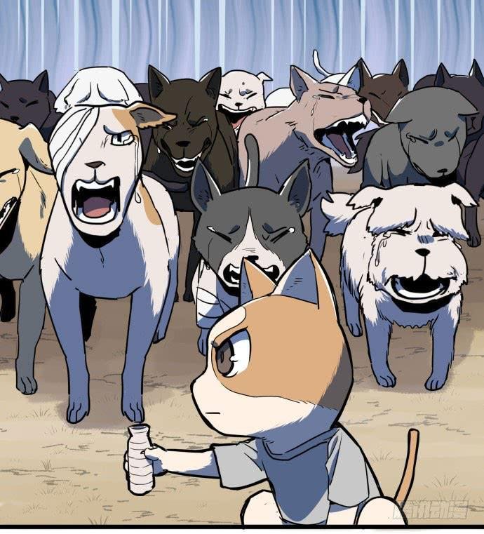 回到犬封镇之后……