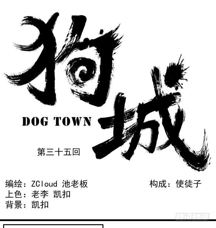 神仙领导来视察？