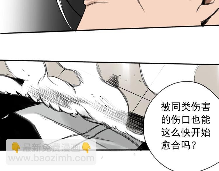 第10话 摊牌