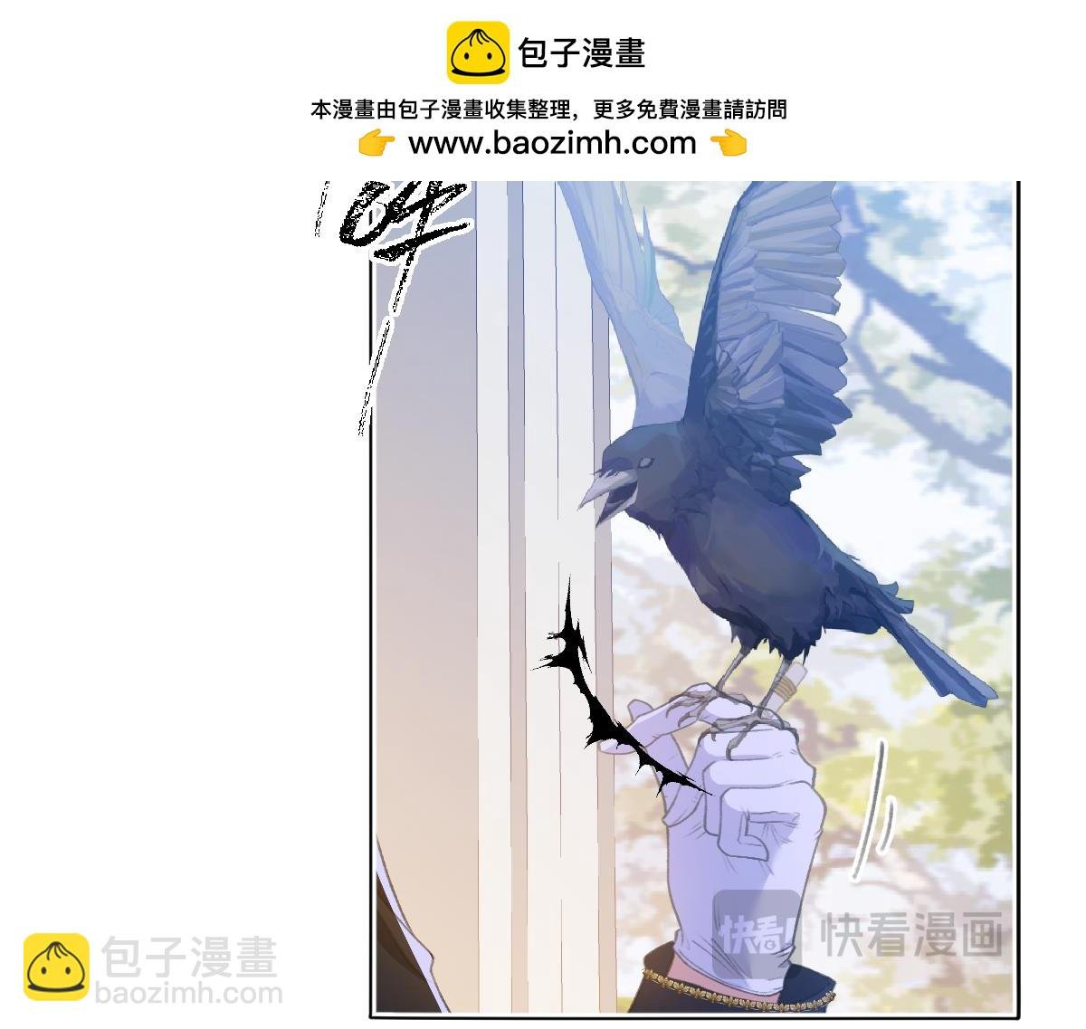 10 欣赏