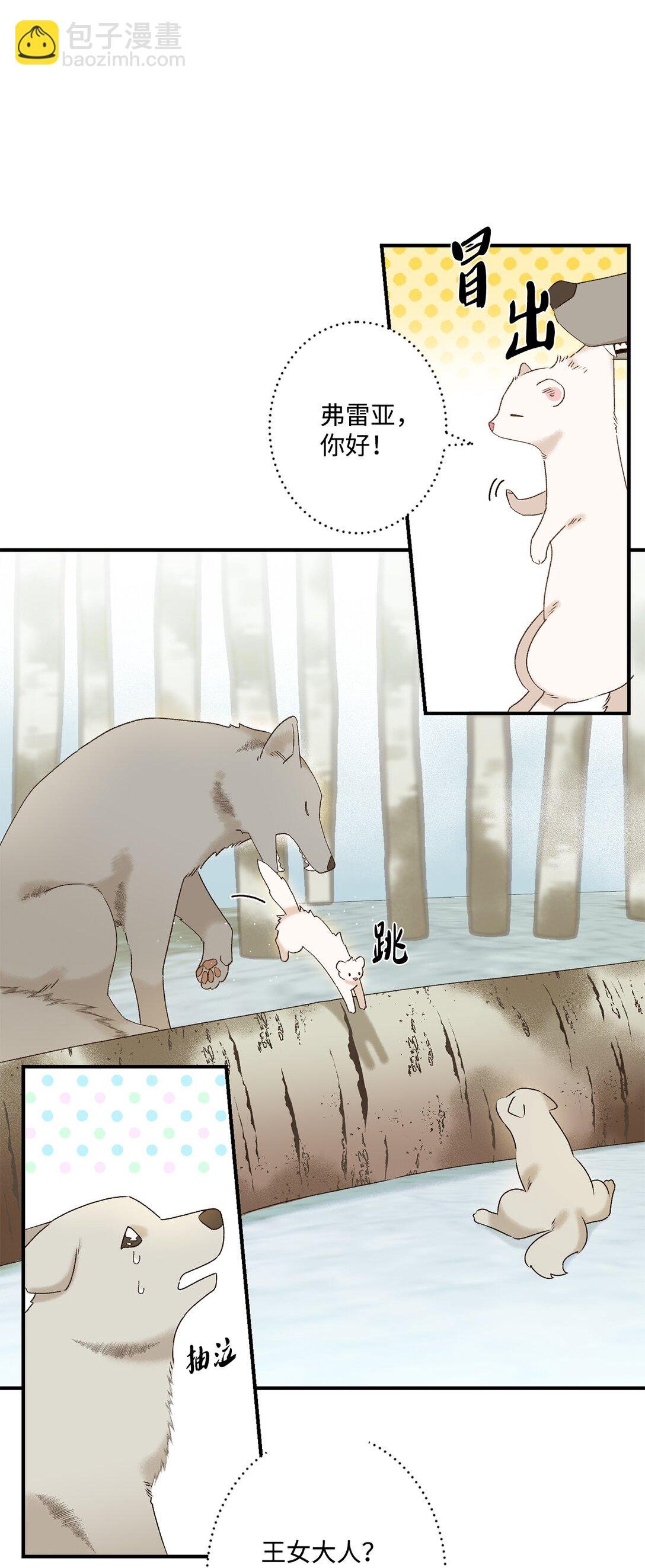 01 王女的故事