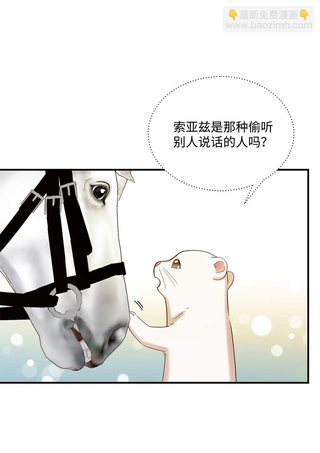 11 魔法之源