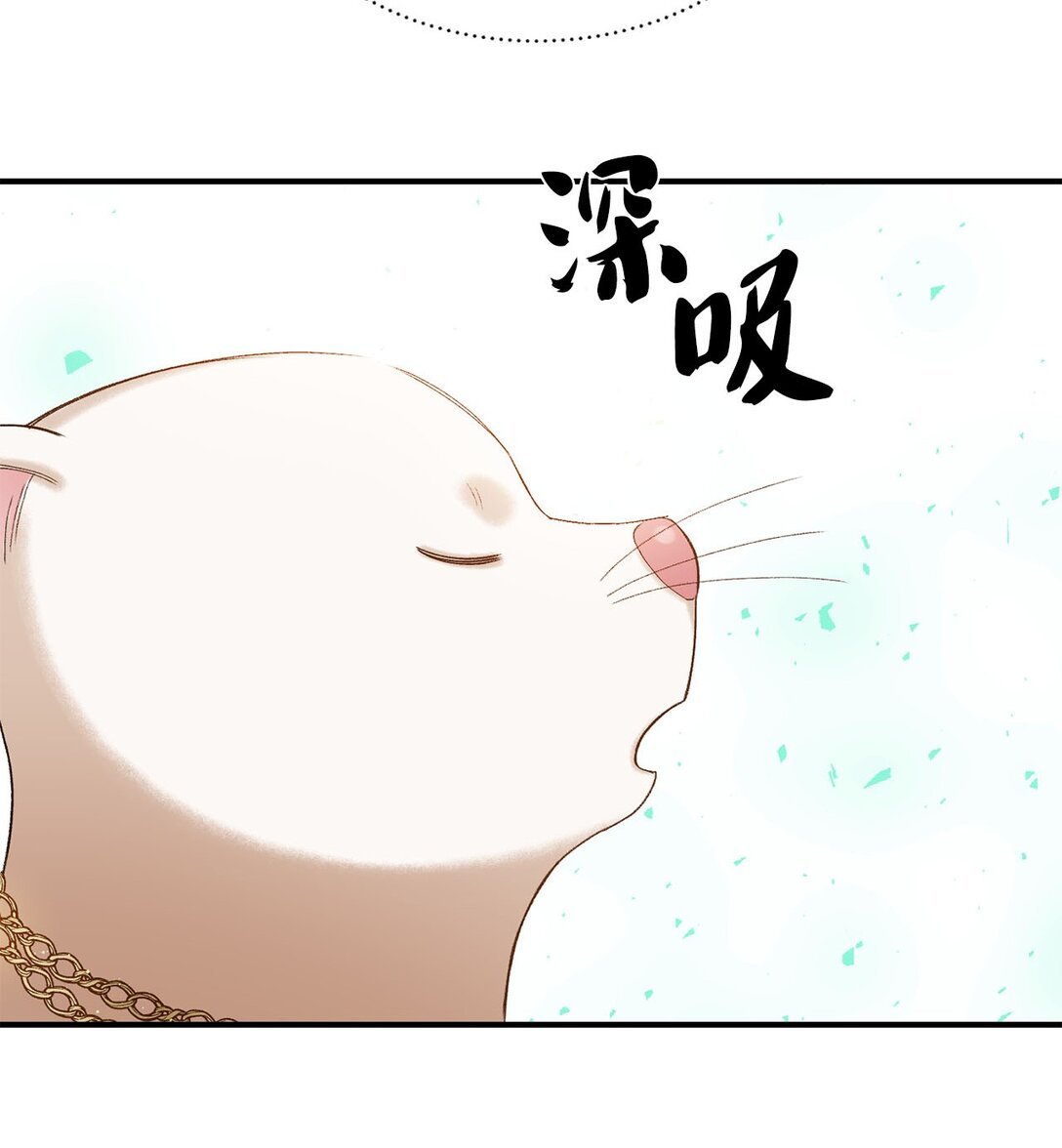 17 小试牛刀