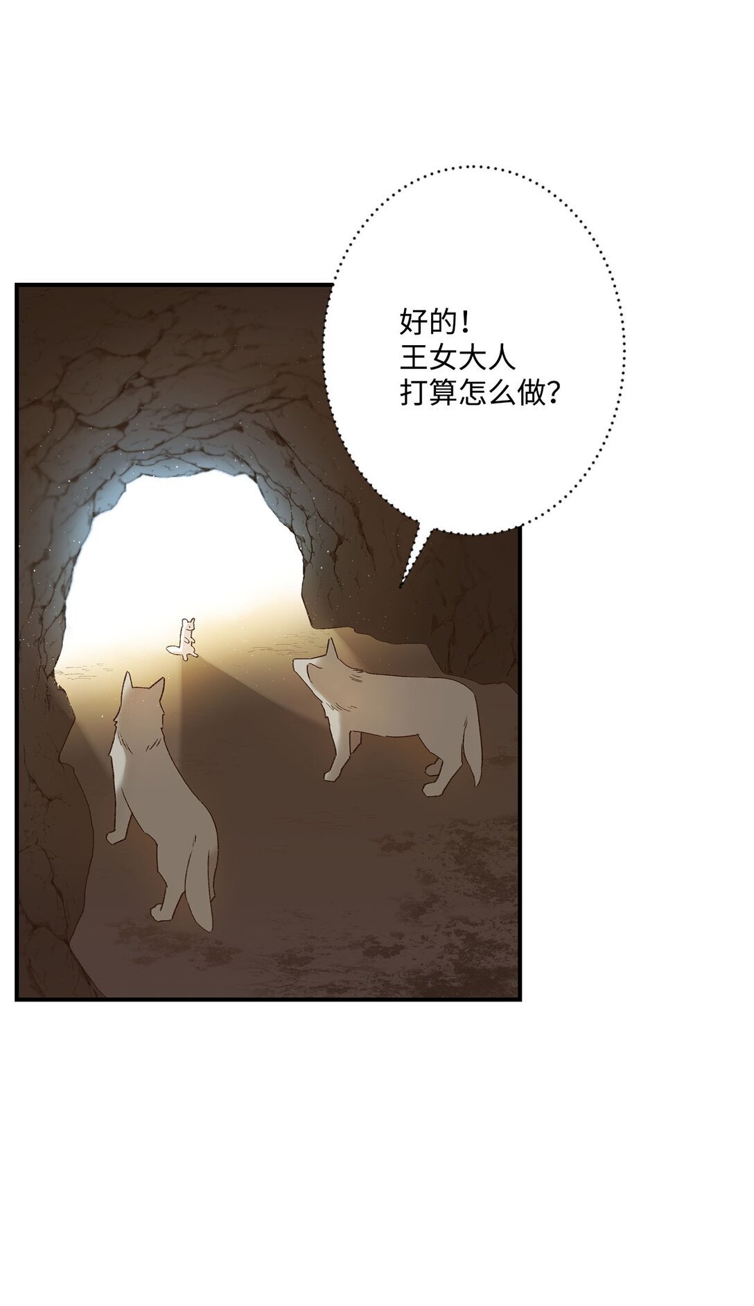 02 狼群聚集