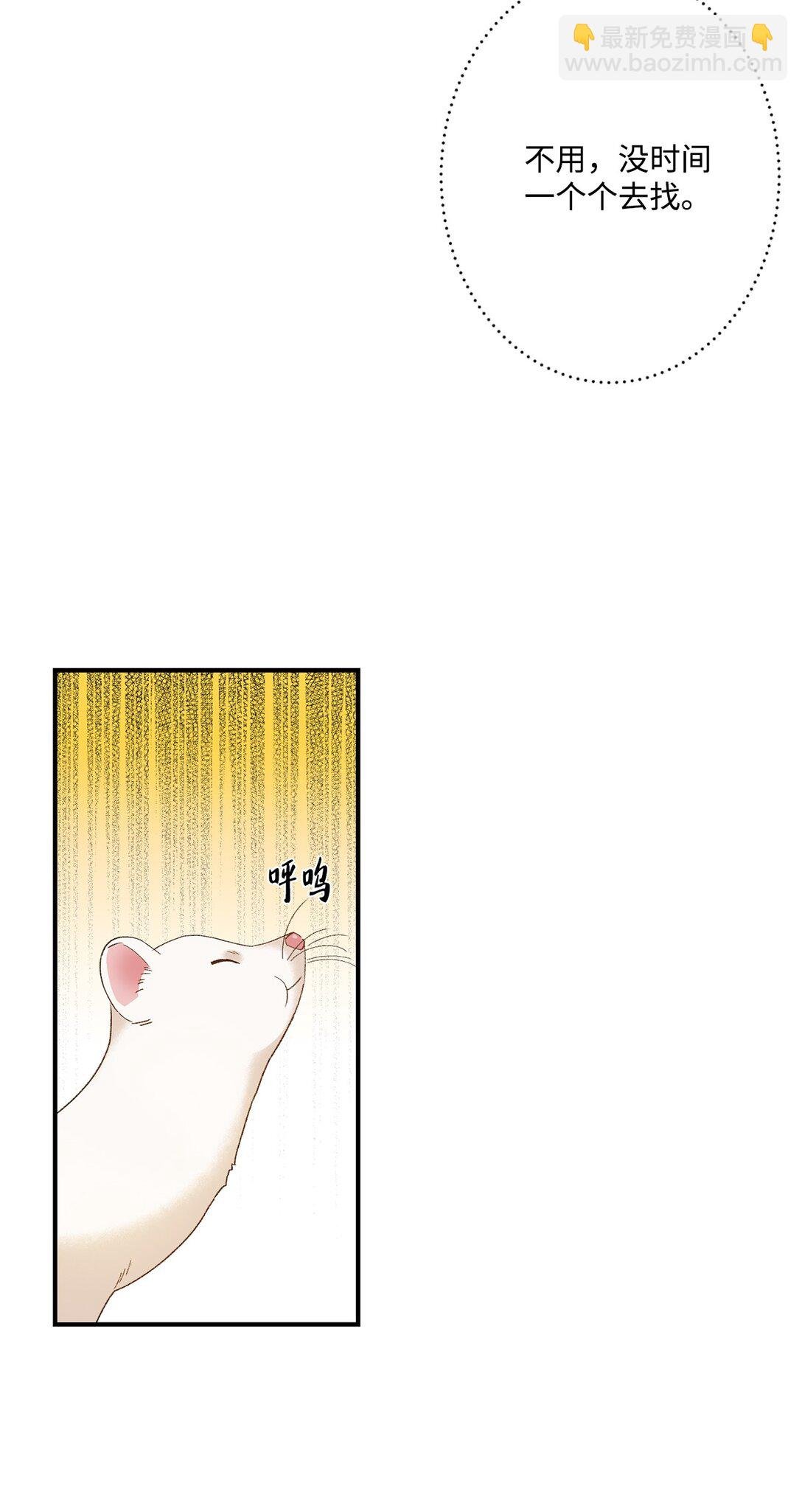 02 狼群聚集