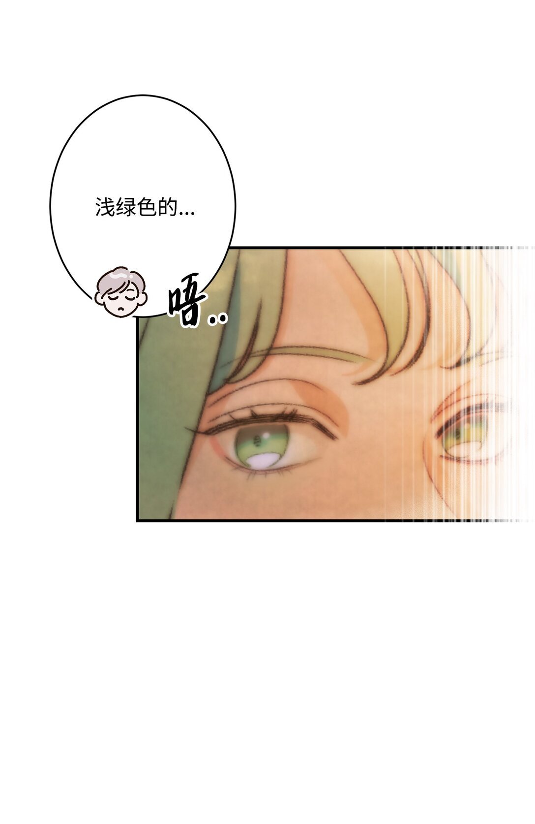 02 狼群聚集