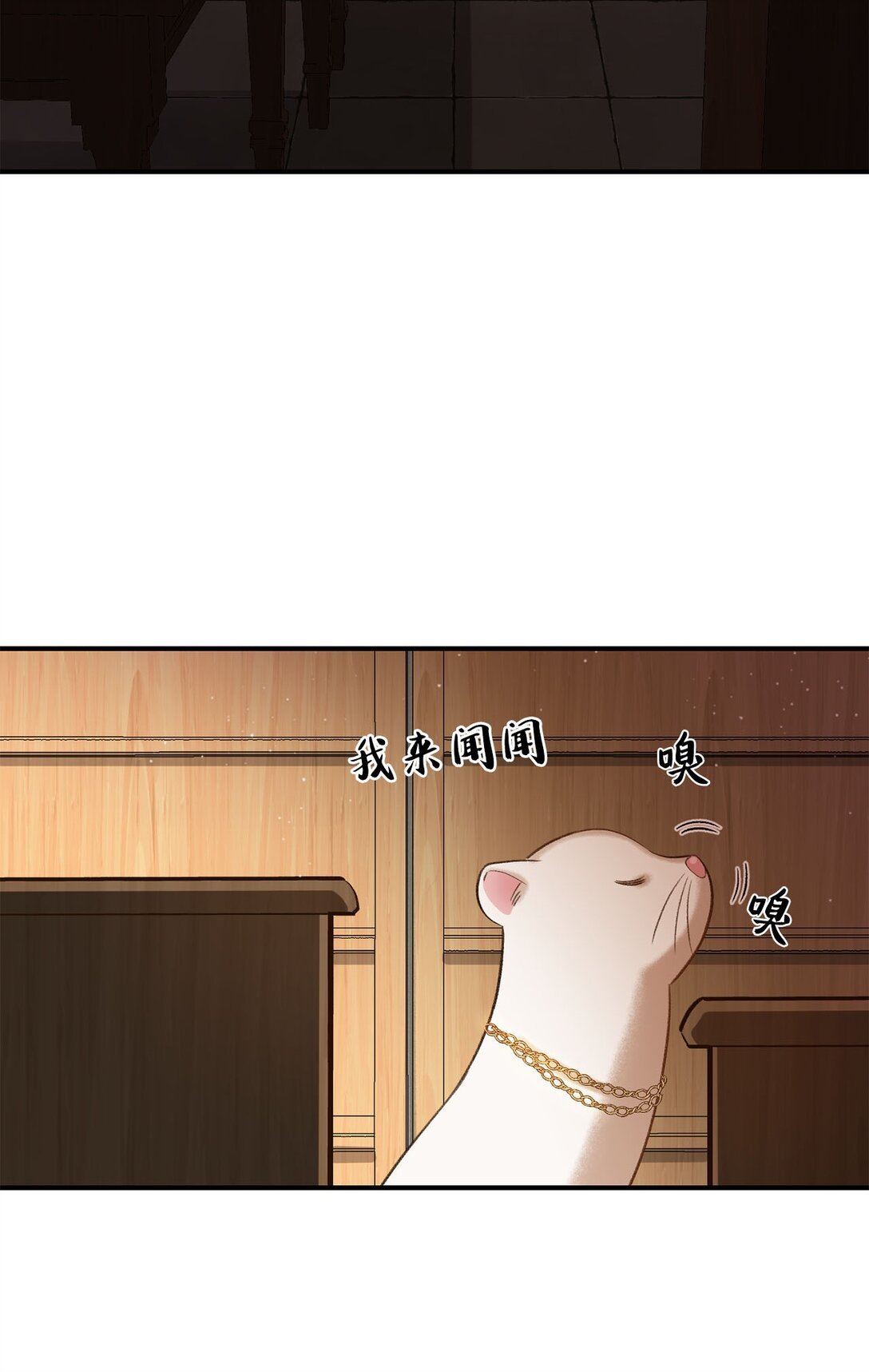20 地下王国