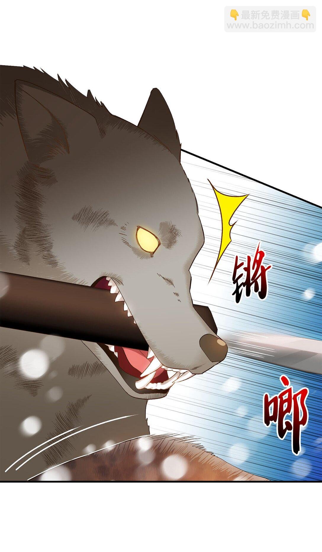 03 遇见白鼬