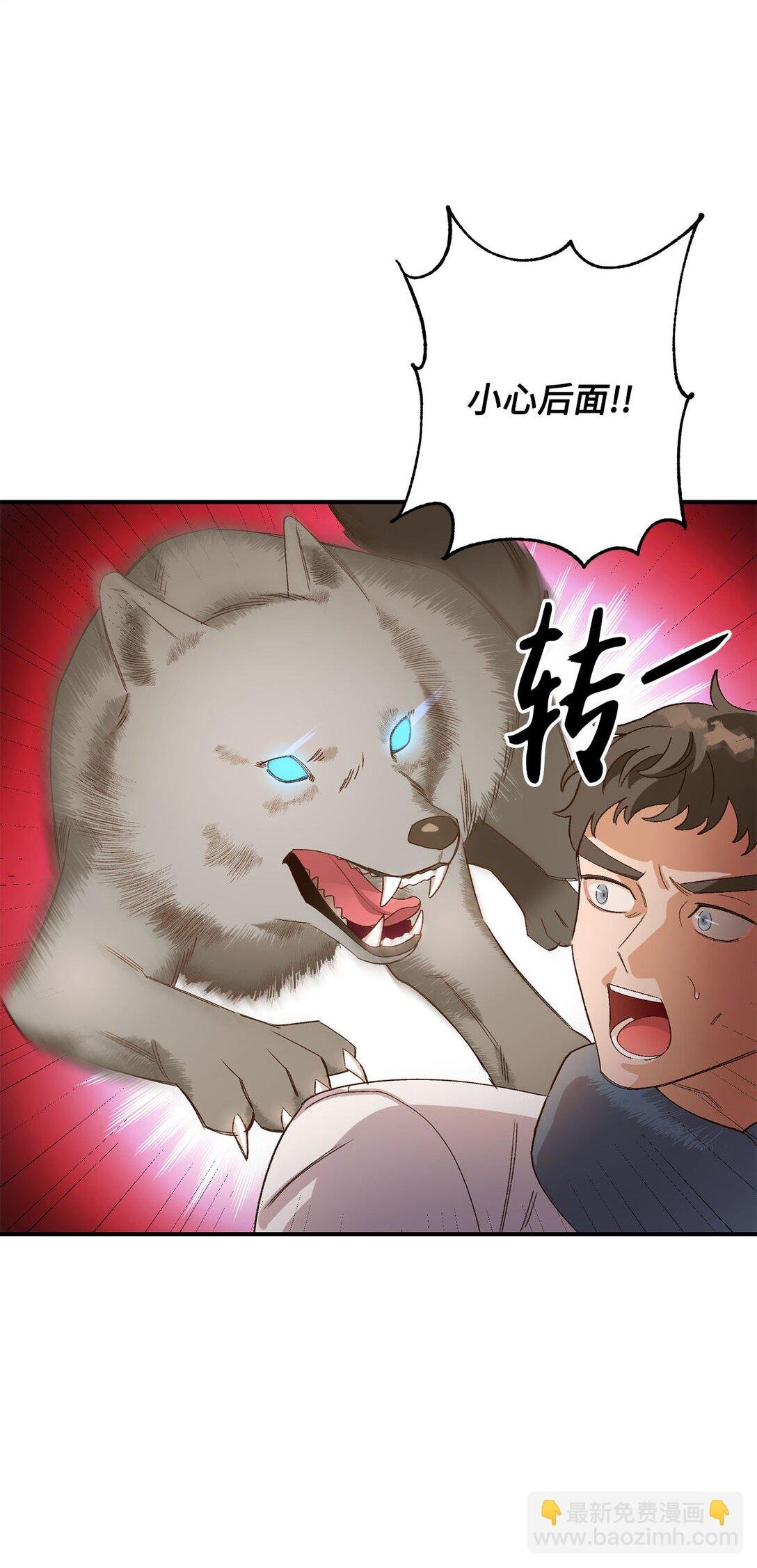 03 遇见白鼬