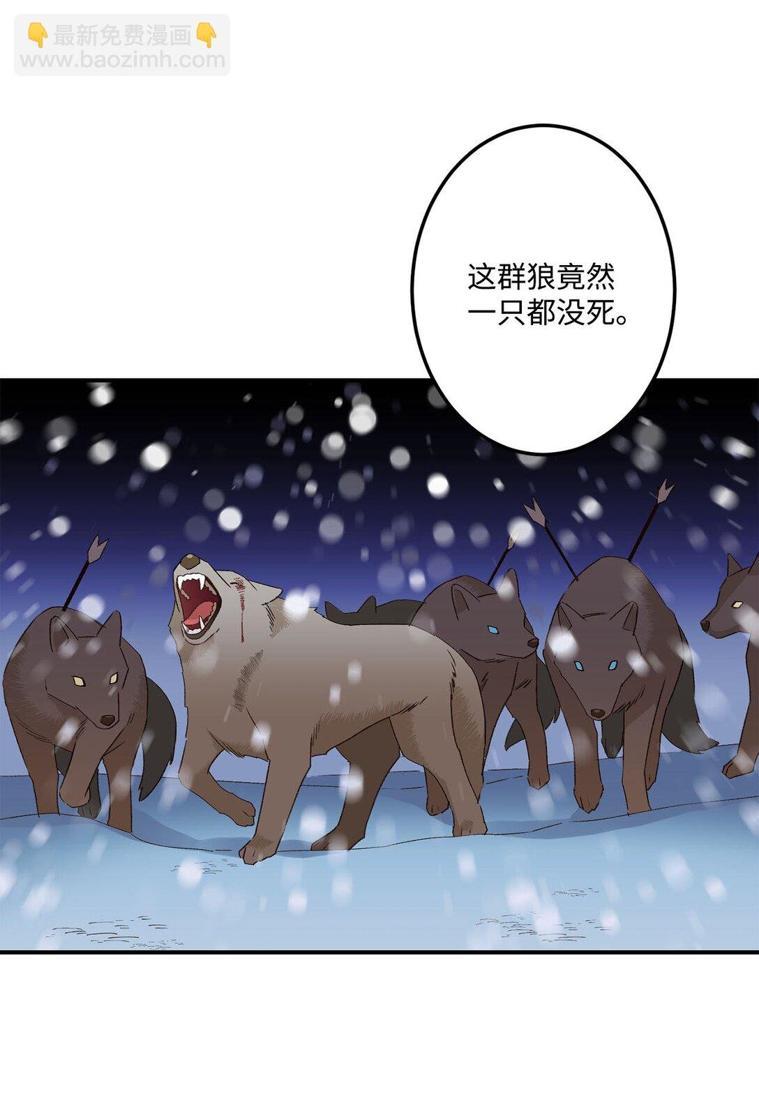 03 遇见白鼬