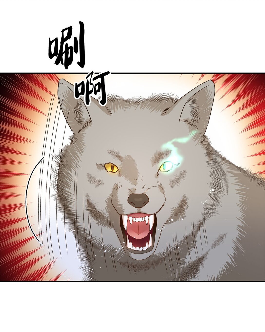 03 遇见白鼬