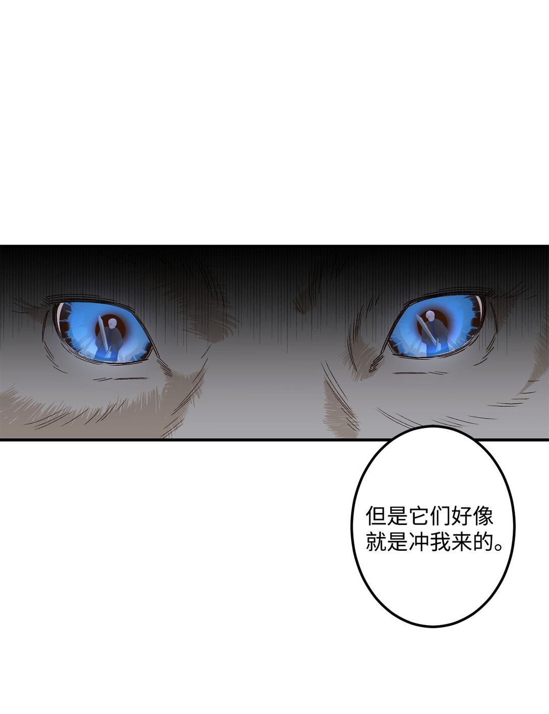 03 遇见白鼬
