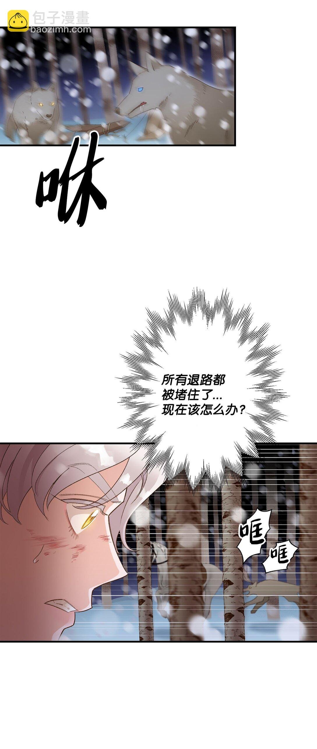 03 遇见白鼬