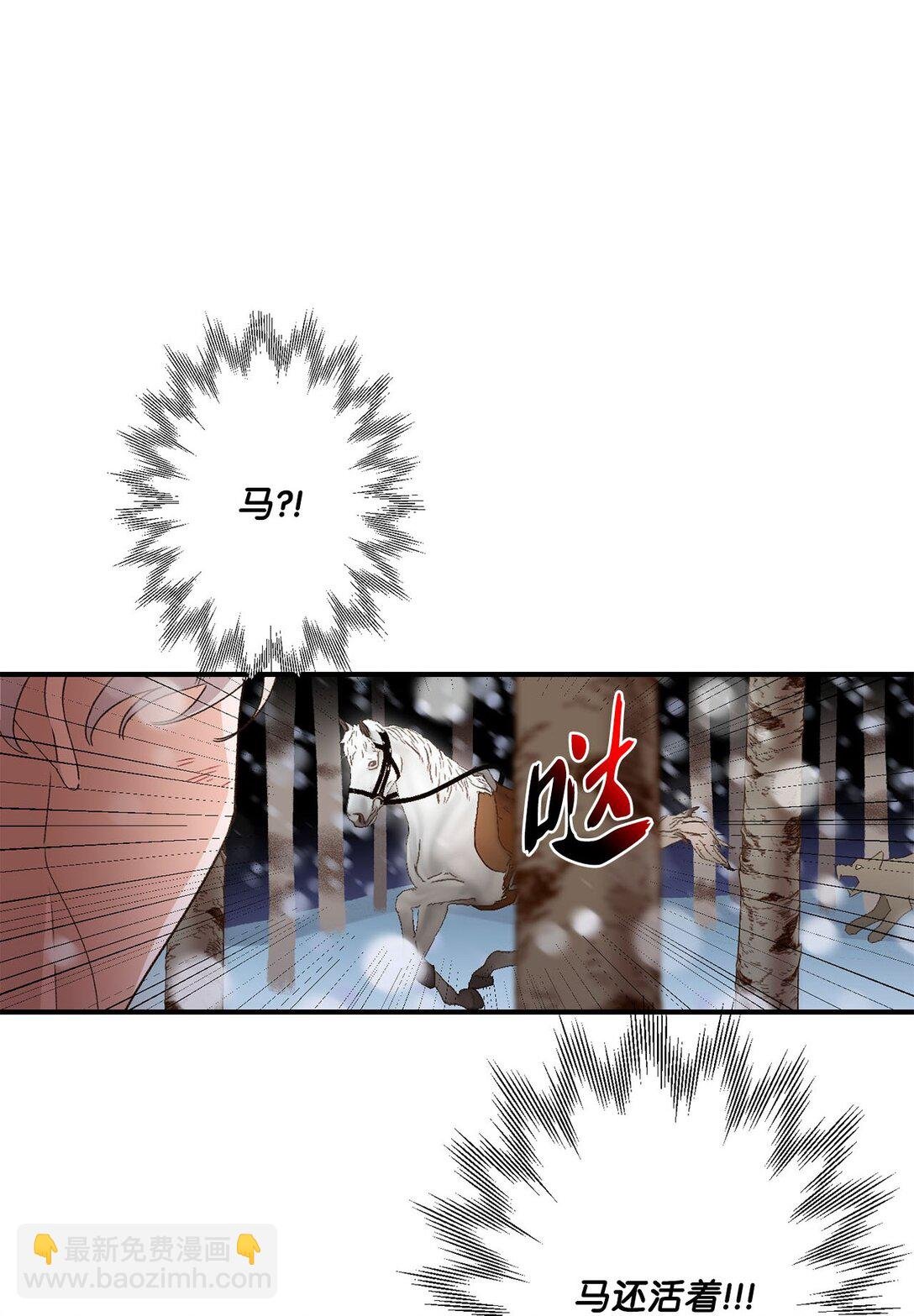 03 遇见白鼬