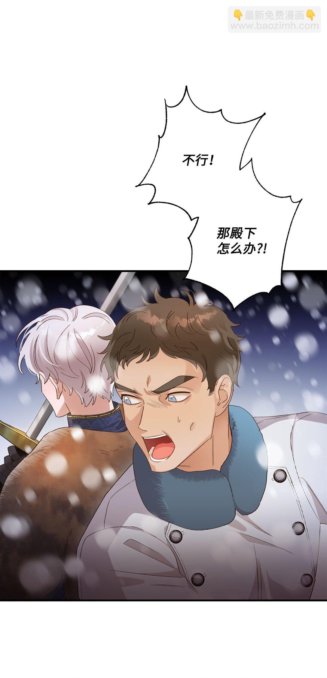 03 遇见白鼬