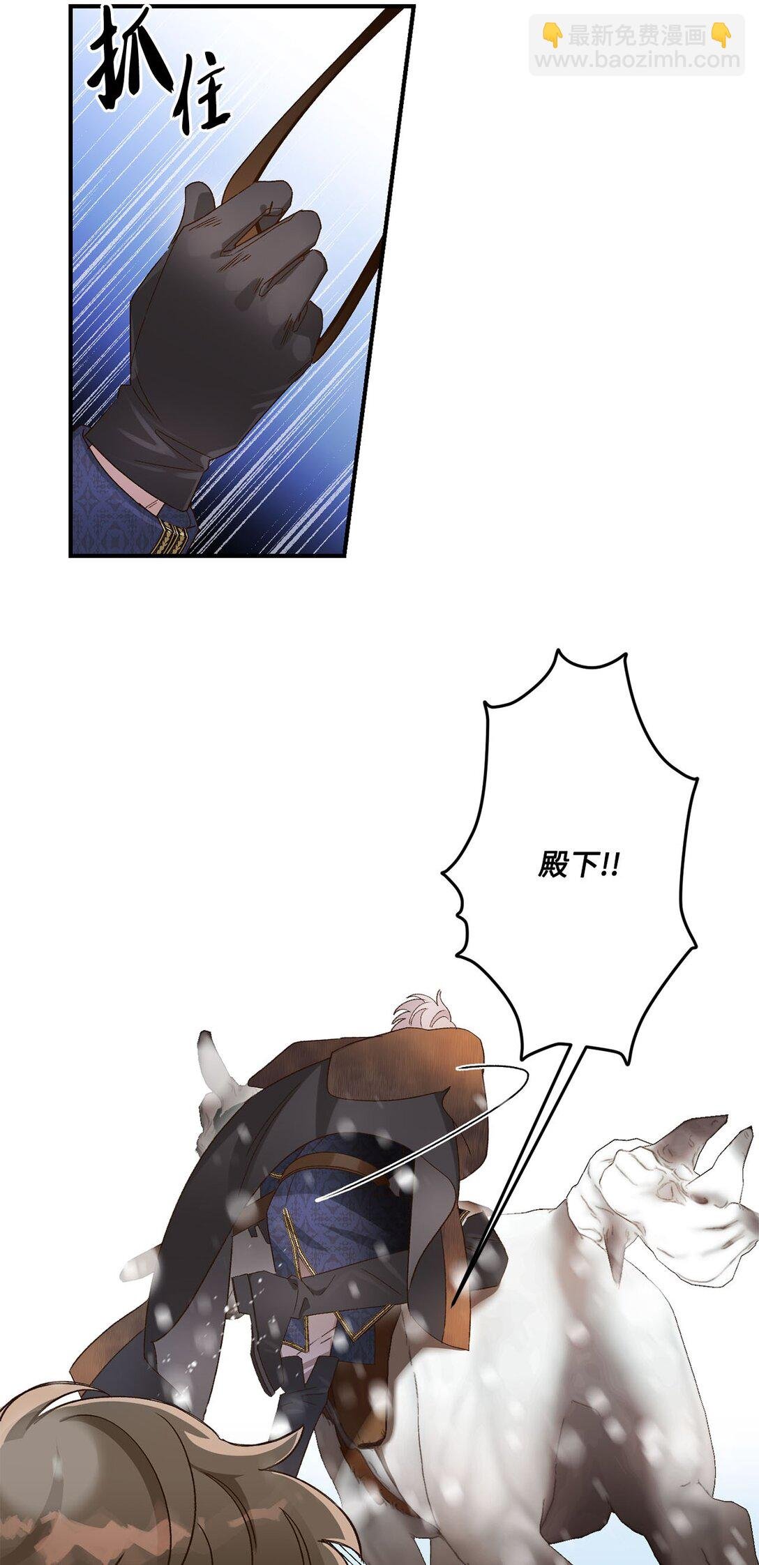 03 遇见白鼬