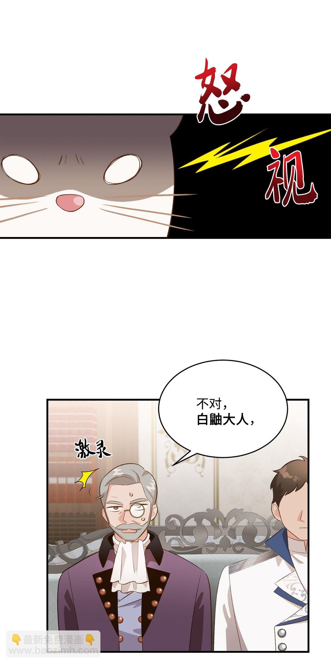 33 公布白鼬身份