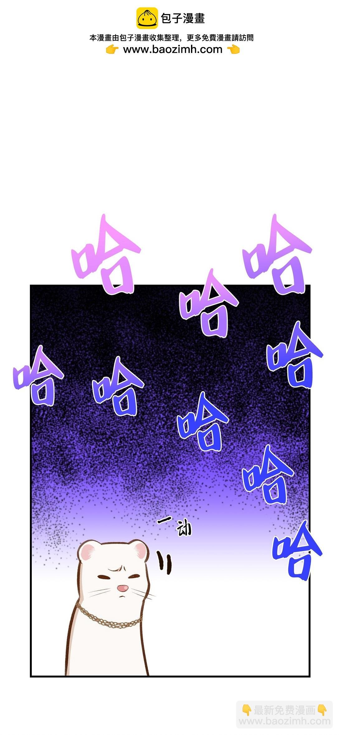 39 魔导师不只一个