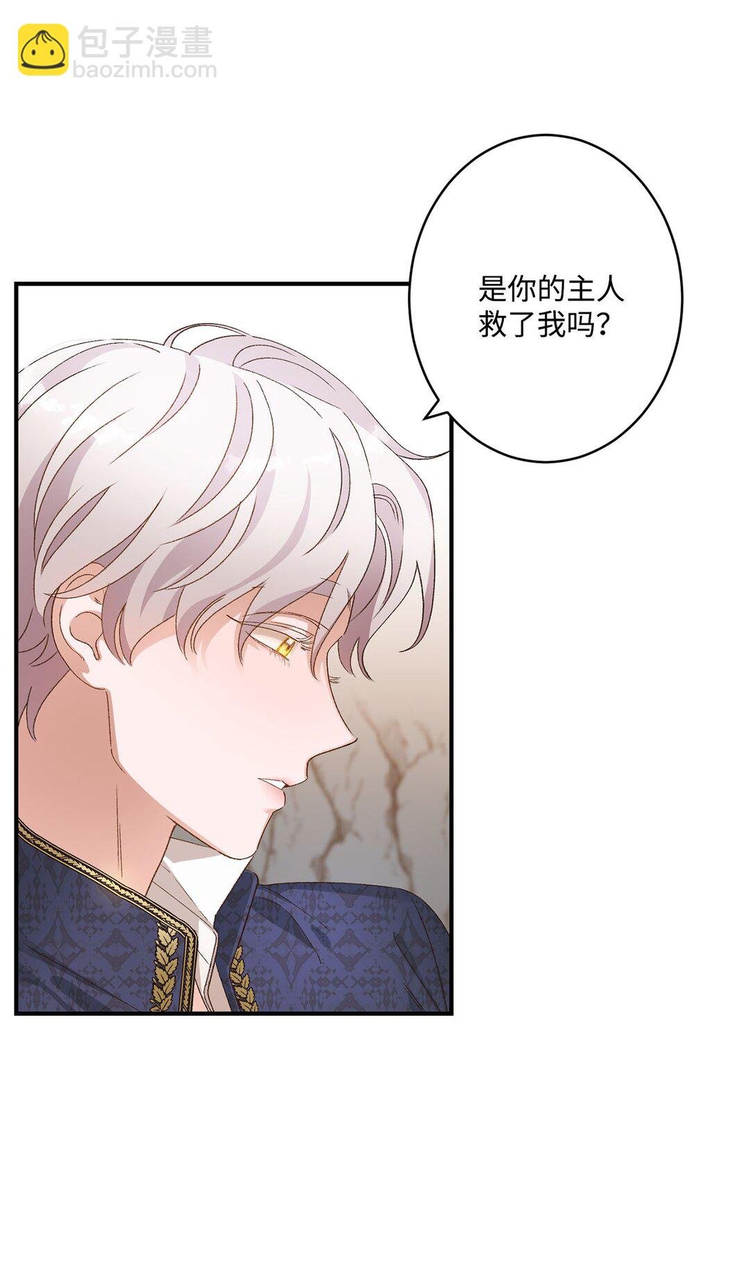 04 会说话的白鼬