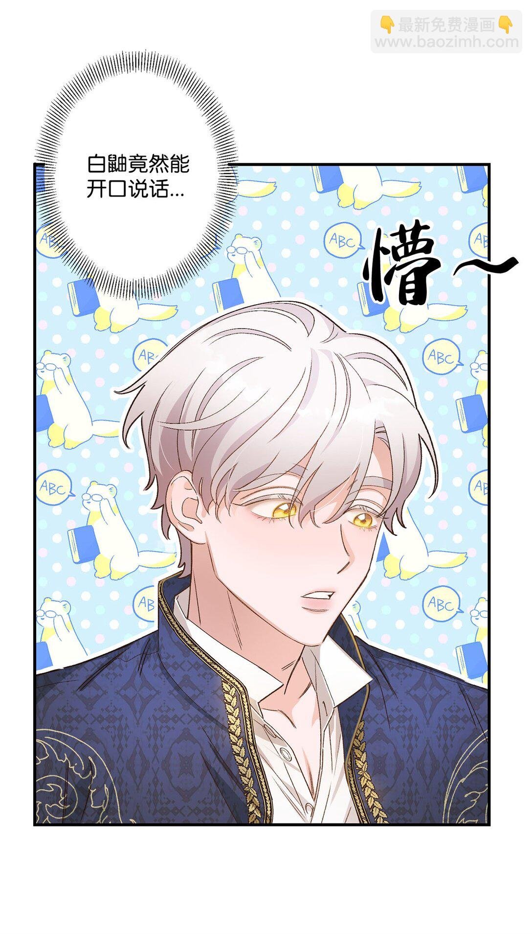 04 会说话的白鼬